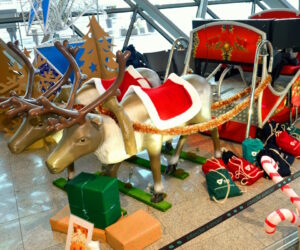 symulator-san-mikolaja-wynajem